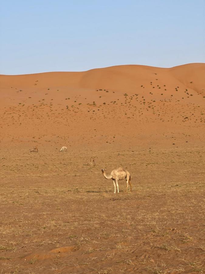 Thousand Stars Desert Camp Bidiya Екстер'єр фото
