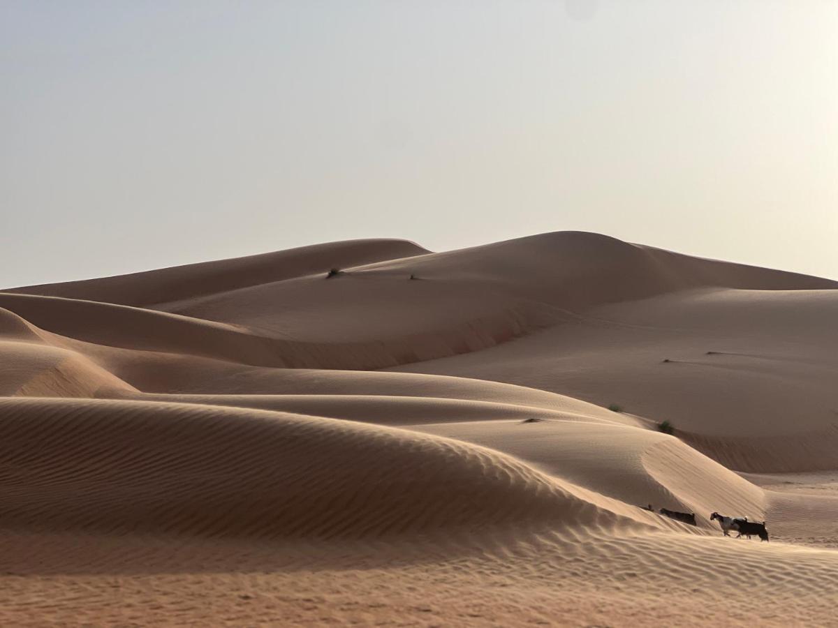 Thousand Stars Desert Camp Bidiya Екстер'єр фото