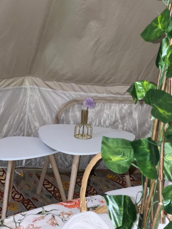 Thousand Stars Desert Camp Bidiya Екстер'єр фото
