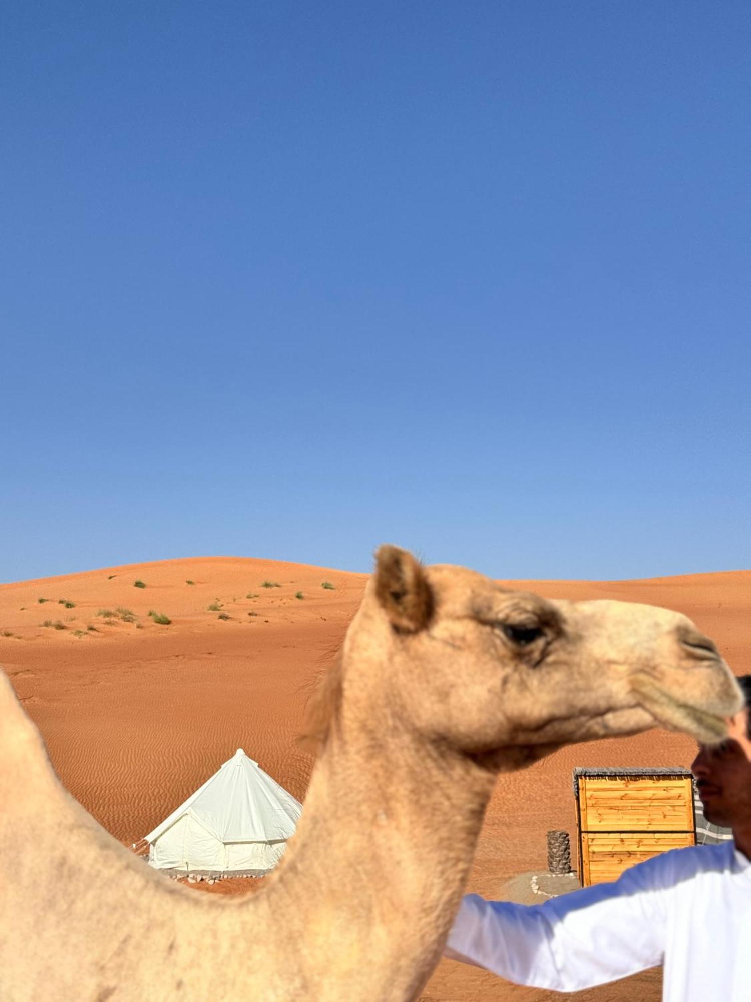 Thousand Stars Desert Camp Bidiya Екстер'єр фото